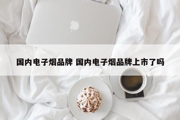 国内电子烟品牌 国内电子烟品牌上市了吗