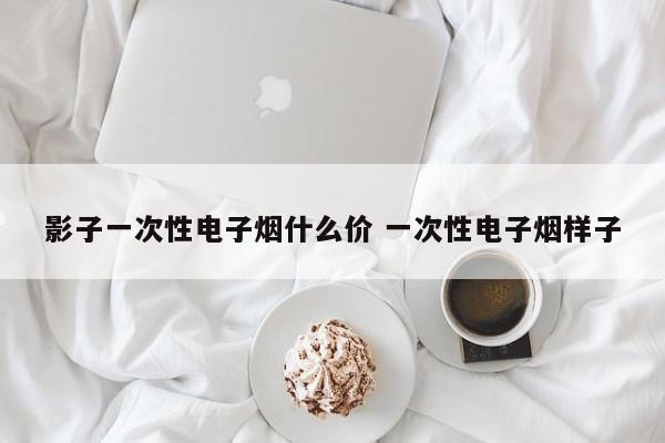 影子一次性电子烟什么价 一次性电子烟样子