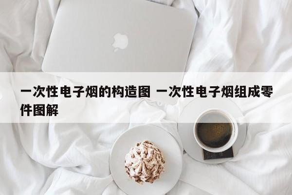 一次性电子烟的构造图 一次性电子烟组成零件图解