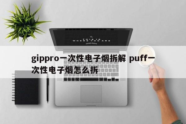gippro一次性电子烟拆解 puff一次性电子烟怎么拆