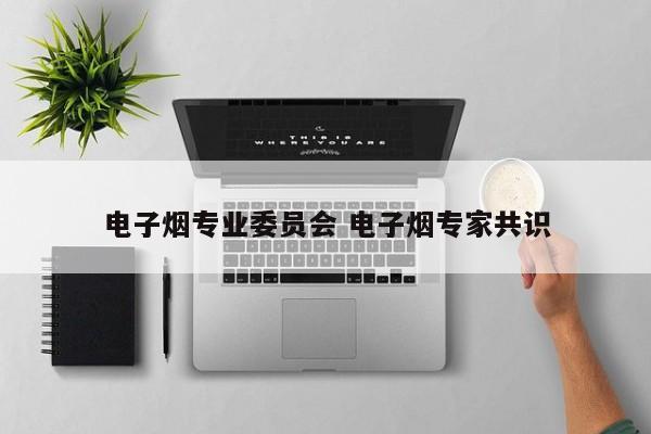 电子烟专业委员会 电子烟专家共识
