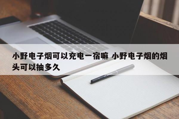 小野电子烟可以充电一宿嘛 小野电子烟的烟头可以抽多久