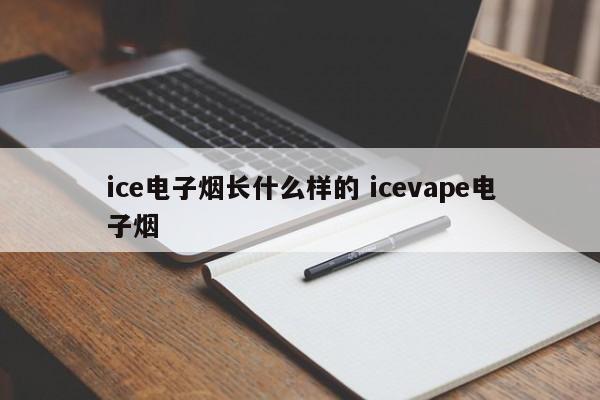 ice电子烟长什么样的 icevape电子烟