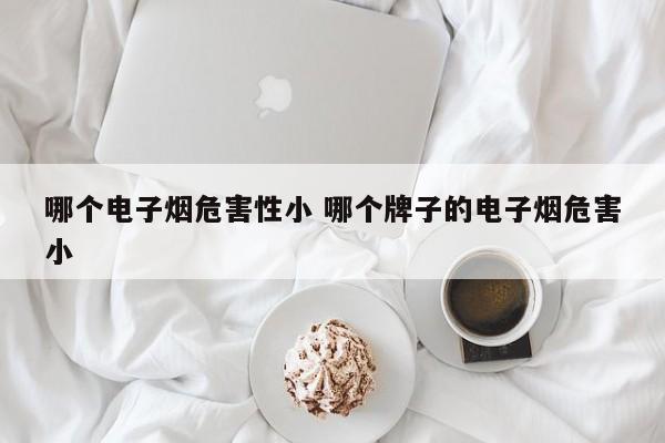 哪个电子烟危害性小 哪个牌子的电子烟危害小