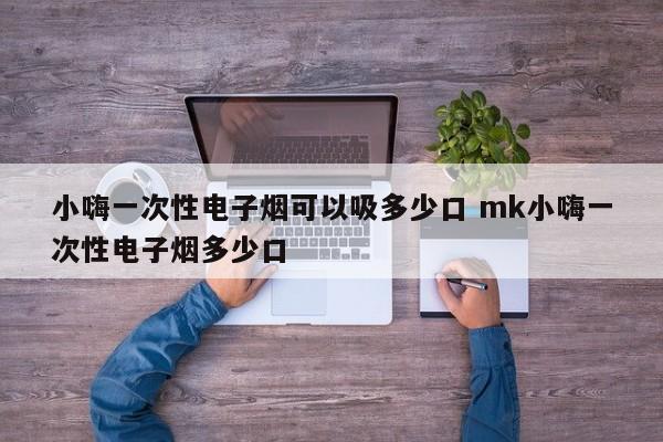 小嗨一次性电子烟可以吸多少口 mk小嗨一次性电子烟多少口