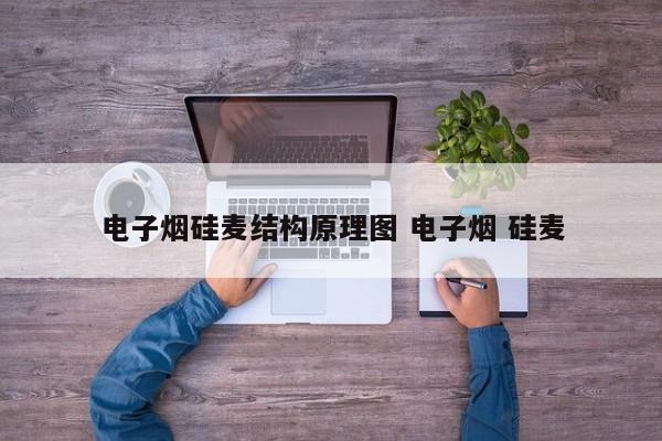 电子烟硅麦结构原理图 电子烟 硅麦